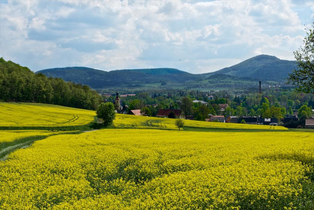 Landhotel Quirle-Haeusl Waltersdorf  Exteriör bild